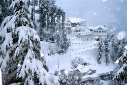 Camping in Shimla ! Shimla Camps ! camps near shimla
